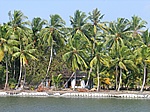 Backwaters in Kerala